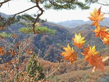 甘肃兰州疫情现状及应对措施，严峻挑战与共同抵抗